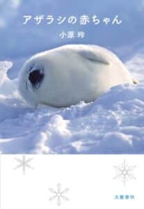 【無料で読める】アザラシの赤ちゃん