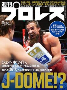 【無料で読める】週刊プロレス 2020年 11/25号 No.2093 [雑誌]
