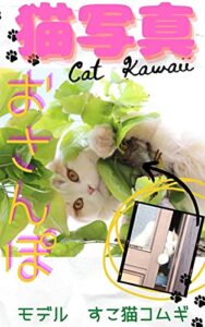 【無料で読める】猫写真集: 疲労・ストレスから少し離れてみませんか？無邪気な心と、自然な緑が、あなたの心に安らぎをもたらしますように。