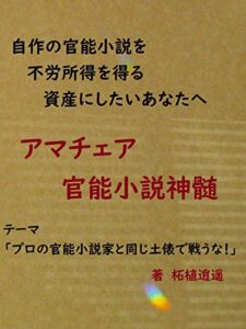プロの官能小説家と同じ土俵で戦うな！ ＷＥＢ官能小説を書いて１０万円の副収入を確保する方法