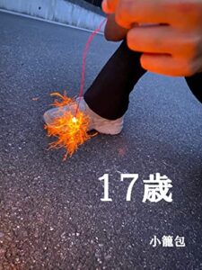 【無料で読める】17歳