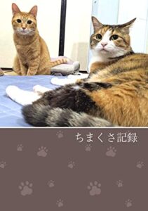 【無料で読める】ちまくさ記録