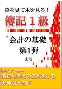 【無料で読める】森を見て木を見る簿記1級: 第一弾会計の基礎 簿記一級 (会計)