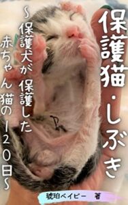 【無料で読める】保護猫・しぶき～保護犬が保護した赤ちゃん猫の１２０日～