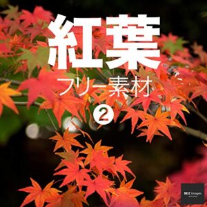 【無料で読める】紅葉 フリー素材 2無料で使える画像素材集BEIZ images (ベイツ・イメージズ)