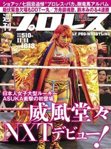 【無料で読める】週刊プロレス 2015年 11/11号 No.1818 [雑誌]