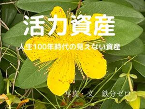 【無料で読める】活力資産: 人生100年時代の見えない資産
