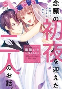 【無料で読める】結婚までエッチは禁止！？念願の初夜を迎えた二人のお話。【単行本版】 (オパールCOMICS)