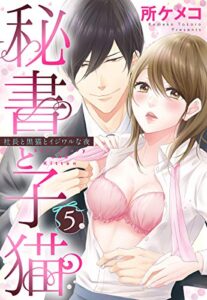 【無料で読める】秘書と子猫【単話売】 5話 社長と黒猫とイジワルな夜 (恋愛白書パステル)