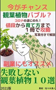 【無料で読める】オススメの観葉植物１０選