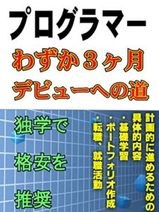 プログラマー わずか３ヶ月 デビューへの道