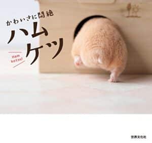 【無料で読める】かわいさに悶絶 ハムケツ