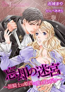 【無料で読める】忘却の迷宮～黒騎士は姫君の愛を取り戻す～【書き下ろし・イラスト5枚入り】 (トパーズノベルス)