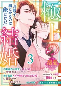 【無料で読める】【ベリーズ文庫溺愛アンソロジー】極上の結婚3～帝王＆富豪編～(イラスト付き)