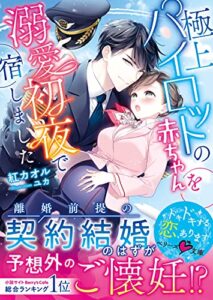 【無料で読める】極上パイロットの赤ちゃんを溺愛初夜で宿しました (ベリーズ文庫)
