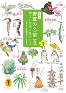 【無料で読める】ヤマケイ文庫 野草の名前 春