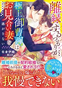 【無料で読める】離縁するつもりが、極上御曹司はお見合い妻を逃がさない (ベリーズ文庫)