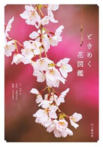 【無料で読める】ときめく花図鑑 ときめく図鑑