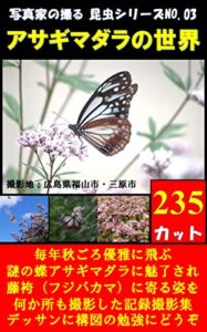 【無料で読める】写真家の撮る昆虫シリーズNO.03アサギマダラの世界