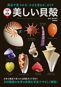 【無料で読める】美しい貝殻 (学研の図鑑)