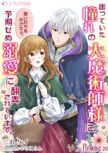 【無料で読める】困っていた憧れの大魔術師様に追い打ちをかけたら、予期せぬ溺愛に翻弄されています【分冊版】2 (ミーティアノベルス)