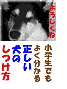 【無料で読める】小学生でもよく分かる正しい犬のしつけ方