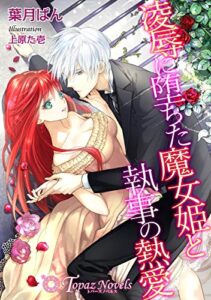【無料で読める】凌辱に堕ちた魔女姫と執事の熱愛【書下ろし・イラスト8枚入り】 (トパーズノベルス)
