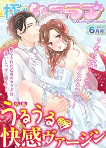 【無料で読める】極上ハニラブ 2015年6月号【うるうる★快感ヴァージン】 [雑誌] (KATTS-L)