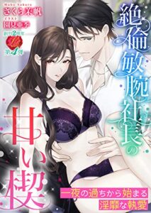 【無料で読める】絶倫敏腕社長の甘い楔～一夜の過ちから始まる淫靡な執愛～ (濃蜜ラブルージュ)
