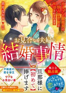 【無料で読める】お見合い夫婦の結婚事情～カタブツ副社長に独占欲全開で所望されています～ (ベリーズ文庫)