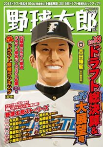 【無料で読める】野球太郎No.029 2018ドラフト総決算＆2019大展望号