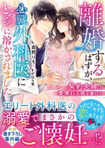 【無料で読める】離婚するはずが、心臓外科医にとろとろに溶かされました～契約夫婦は愛焦れる夜を重ねる～ (ベリーズ文庫)