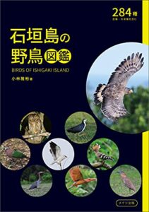 【無料で読める】石垣島の野鳥図鑑