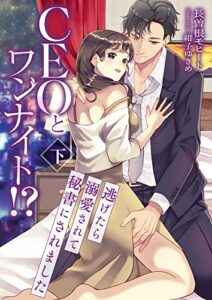 【無料で読める】CEOとワンナイト!? 逃げたら溺愛されて秘書にされました (下) (こはく文庫)