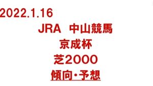 【無料で読める】中央競馬中山競馬京成杯