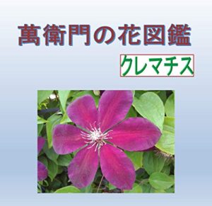 【無料で読める】萬衛門の花図鑑クレマチス