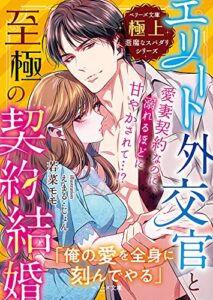 【無料で読める】エリート外交官と至極の契約結婚【極上悪魔なスパダリシリーズ】 (ベリーズ文庫)