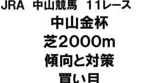 【無料で読める】中央競馬中山金杯馬券予想