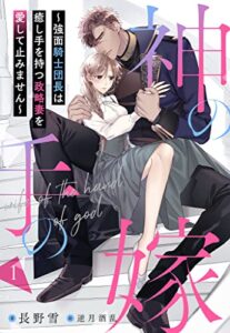 【無料で読める】神の手の嫁～強面騎士団長は癒し手を持つ政略妻を愛して止みません～ 1話 (シェリーLoveノベルズ)