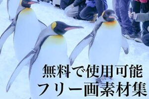 【無料で読める】【フリー画像集】著作権無料で利用できる高画質画像集【Kindle版】
