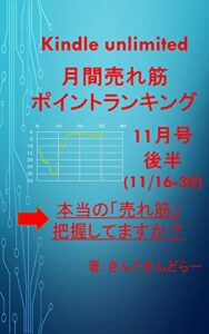 【無料で読める】Kindle unlimited 月間売れ筋ポイントランキング11月号後半(11/16-11/30): 「本当に売れ筋の書籍」、きちんと把握していますか？