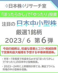 【無料で読める】「ほったらかし」で「ゆったり」投資 注目の「日本中小型株」2023/ 6 第６弾