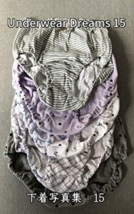 【無料で読める】Underwear Dreams 15: 下着写真集15