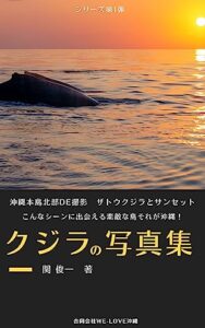 【無料で読める】クジラの写真集: 沖縄本島北部DE撮影ザトウクジラとサンセット クジラの写真集シリーズ