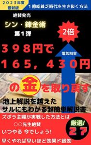 【無料で読める】３９８円で165,430円の金を取り戻す: シン・錬金術第一弾