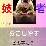 【無料で読める】舞妓 芸者の写真集へおこしやす