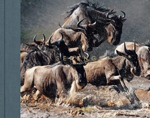 【無料で読める】SERENGETI 100万頭のヌー、命を懸けた川渡り (NEXTRAVELER BOOKS)