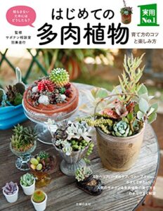 【無料で読める】はじめての多肉植物育て方のコツと楽しみ方 主婦の友実用Ｎｏ．１シリーズ