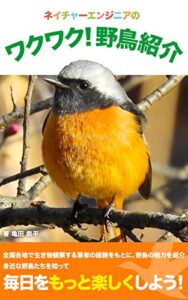 【無料で読める】ネイチャーエンジニアのワクワク！野鳥紹介