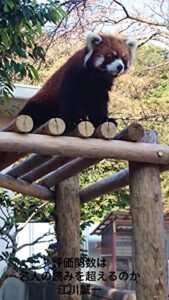 【無料で読める】評価関数は名人の読みを超えるのか: 人工知能が碁を打ち将棋を指す